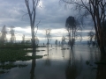 Lake Naivasha flodded